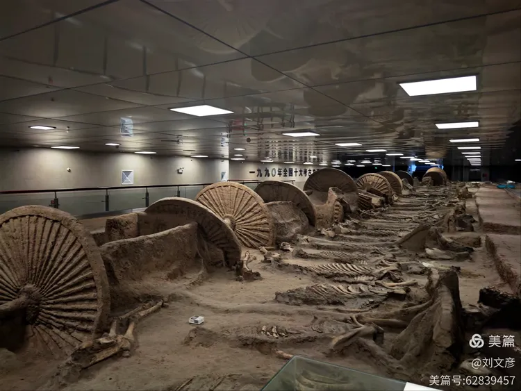 山东 淄博,古车博物馆,春秋殉车马坑遗址,2600年前,中国十大考古发现